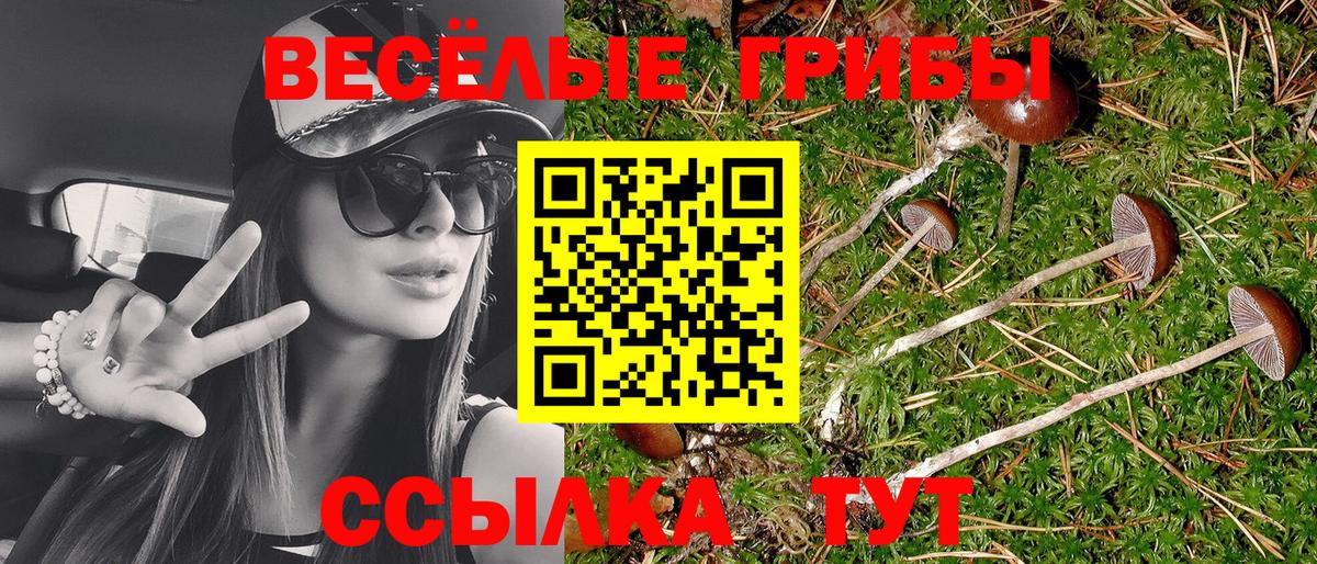 Псилоцибиновые грибы Magic Shrooms Нефтекамск